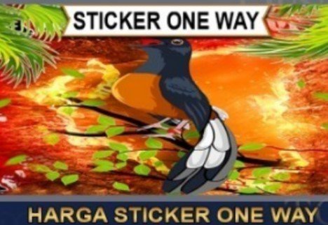 Bahan Sticker One Way